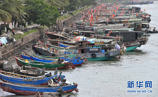 Fishing boats sheltered from typhoon in Haikou port, Hainan Province, on July 16, 2010. China issued an orange alert on Thursday for wave surges, the second highest level warning, forecasting that Typhoon Conson may reach land Friday on the southeast coast of Hainan Province.