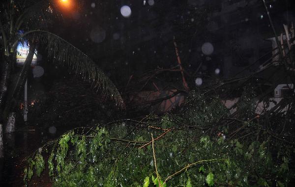 Trees are blowed off by Typhoon Conson in Sanya City, south China's island province of Hainan, July 16, 2010. Typhoon Conson landed at Yalong Bay of Sanya City late Friday, causing casualties.[Jiang Tieying/Xinhua]