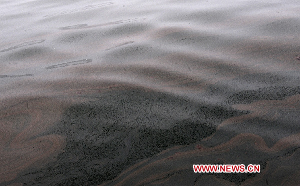 A dark brown belt of crude oil and other pollution is seen in seawaters off Dalian's Xingang Harbor, July 17, 2010. [Xinhua]
