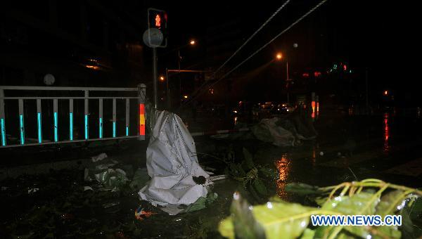 The road is full of rubbish as Typhoon Conson landed, in Sanya, a coastal resort in south China&apos;s Hainan Province, late July 16, 2010. Typhoon Conson made its powerful landfall in the Yalong Bay in Sanya Friday night, causing serious damages.