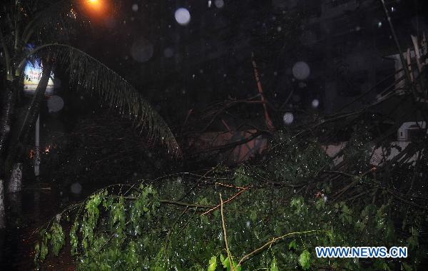  Trees are pulled out by Typhoon Conson in Sanya, a coastal resort in south China&apos;s Hainan Province, late July 16, 2010. Typhoon Conson made its powerful landfall in the Yalong Bay in Sanya Friday night, causing serious damages. 