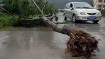 Typhoon Conson causes serious damages in Sanya
