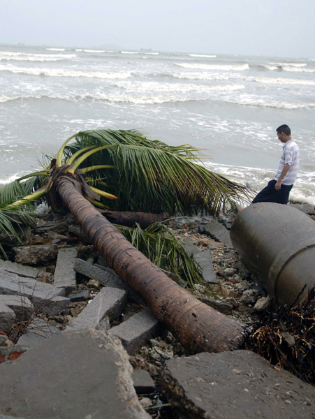 Trees are pulled out by Typhoon Conson in Sanya, a coastal resort in south China's Hainan Province, late July 16, 2010. Typhoon Conson made its powerful landfall in the Yalong Bay in Sanya Friday night, causing serious damages.[Xinhua]