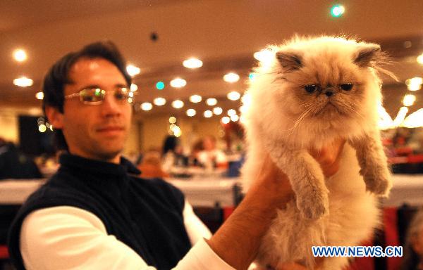 A cat is pictured during the international cat pageant contest in Buenos Aires, Argentina, July 17, 2010. [Xinhua]