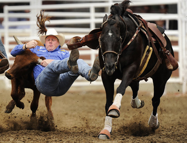 Lee Graves jumps off his horse to wrestle a steer in the Steer Wrestling event during the rodeo at the Calgary Stampede in Calgary, Alberta, July 16, 2010. [Xinhua/Reuters] 