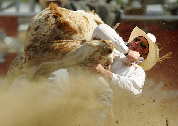 Lee Graves of Calgary, Alberta, wrestles a steer to the ground to win first place and $100,000 in the Steer Wrestling event during the final day of the rodeo at the Calgary Stampede in Calgary, Alberta, July 18, 2010. [Xinhua/Reuters]