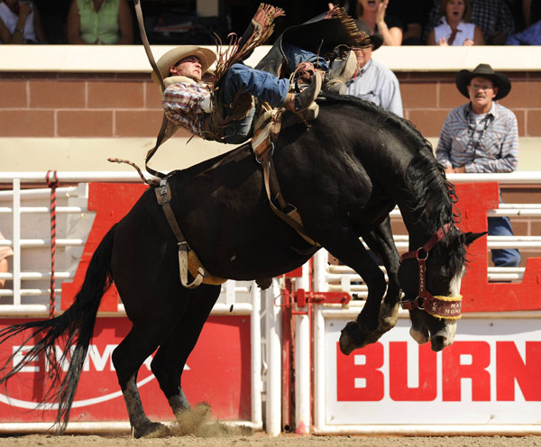 Will Lowe rides the horse Jay Bar Nice to a first place finish and $100,000 in the Bareback event during the final day of the rodeo at the Calgary Stampede in Calgary, Alberta, July 18, 2010. [Xinhua/Reuters]