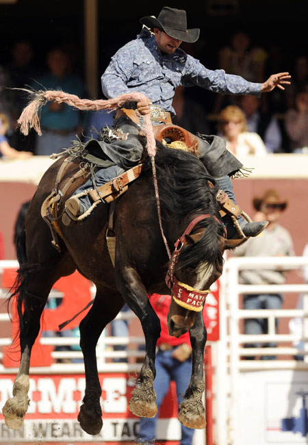 Wade Sundell rides the horse Mata Fact to a first place finish and $100,000 in the Saddle Bronc event on the final day of the rodeo at the Calgary Stampede in Calgary, Alberta July 18, 2010. [Xinhua/Reuters]