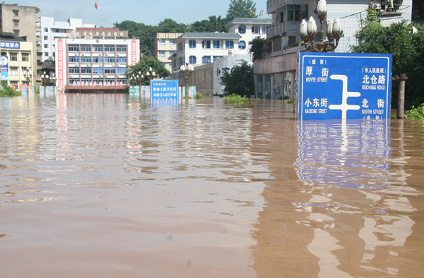 A street in Guang&apos;an is inundated in floods on July 19, 2010. [Xinhua]