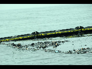 Photo taken on July 19, 2010 shows the polluted sea area affected by oil leakage in Dalian, a coastal city in northeast China's Liaoning Province. Over 500 fishing boats Monday joined a massive oil spill clean-up operation underway off the coast of Dalian City, three days after pipelines exploded near the city's oil reserve base, one of China's largest. [Xinhua]