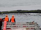 Oil clean-up continues in Dalian