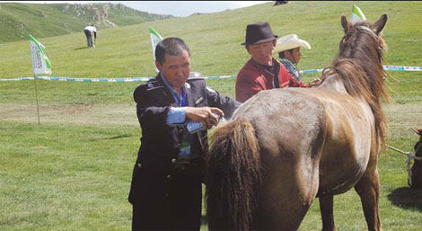 An official of the endurance race marks a horse before it is assigned to a competitor.