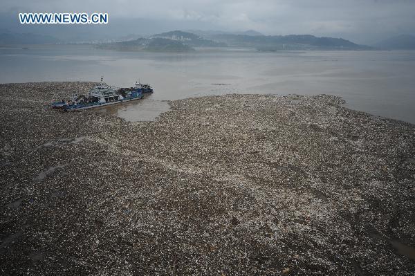 A cleaning boat collects floating garbage near Three Gorges Dam in central China&apos;s Hubei Province, July 21. Several boats are working around the clock to keep the large amounts of floating garbage brought by the flood of Yangtze River from obstructing the flow through the dam. [Xinhua]