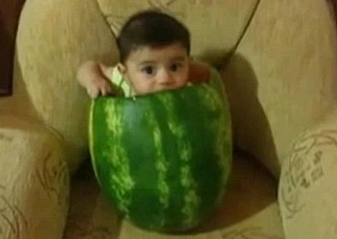 The child was captured on video sitting inside the huge hollowed-out fruit in the latest YouTube sensation. More than 210,000 people have watched the black-haired baby licking and attempting to chew on the inside of the massive watermelon which is perched on a chair, the Daily Mail reported.