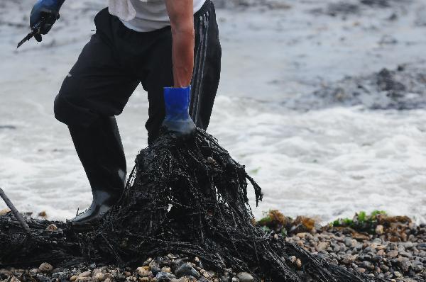 A volunteer collects used straws, which were thrown into the sea to absorb crude oil, at a polluted beach in Dalian City, northeast China&apos;s Liaoning Province, July 22, 2010. Over 1,000 fishing boats were mobilized recently to join the oil spill cleanup operation after the oil pipe explosion at Dalian Xingang Harbor. Meanwhile a lot of fishermen and volunteers also came to the shore on their own to clear up crude oil in an attempt to retrieve the beautiful beachscape of former days. 