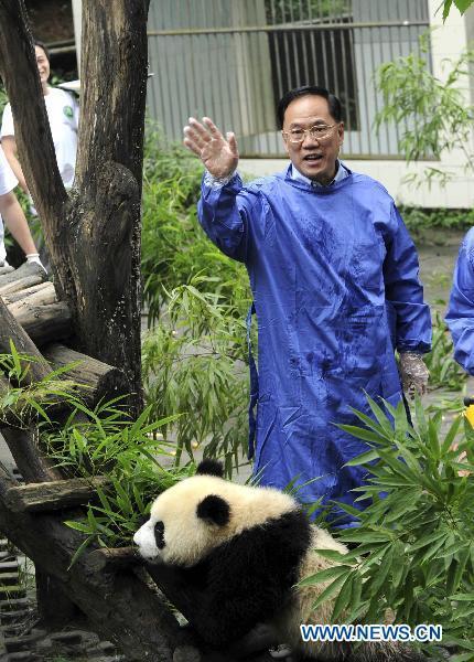 Donald Tsang Yam-Kuen, Chief Executive of China's Hong Kong Special Administrative Region, visits Bifeng Gorge Base of China Conservation and Research Center for the Giant Panda, located in southwest China's Sichuan Province, on July 25, 2010. 