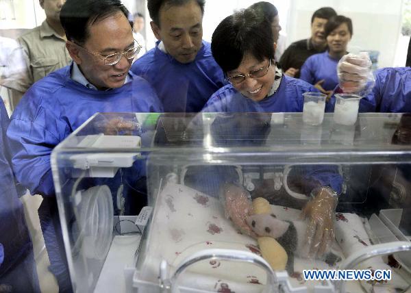 Donald Tsang Yam-Kuen (L), Chief Executive of China's Hong Kong Special Administrative Region, and his wife tend baby giant pandas at Bifeng Gorge Base of China Conservation and Research Center for the Giant Panda, located in southwest China's Sichuan Province, on July 25, 2010. 