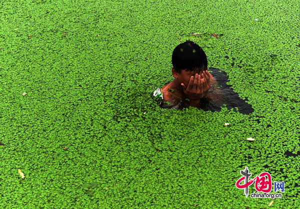 A child swims in a lake covered by green duckweed on July 25, 2010 in Jiaxing, Zhejiang Province of China. [CFP]