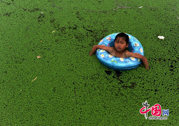 A child swims in a lake covered by green duckweed on July 25, 2010 in Jiaxing, Zhejiang Province of China. [CFP]