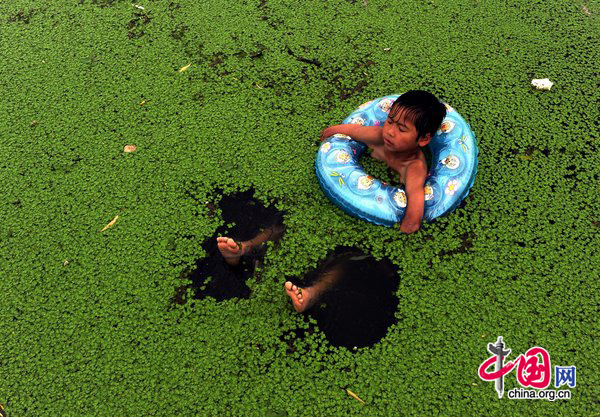 A child swims in a lake covered by green duckweed on July 25, 2010 in Jiaxing, Zhejiang Province of China. [CFP]