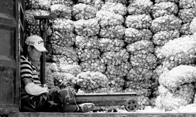 A garlic dealer at the Xinfadi wholesale market in Beijing rests in the shade while awaiting for customers on July 20. [China Daily]