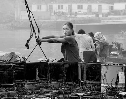 Li Juan, a fisherwoman, helps clean the oil spill near Dalian's Xingang port on Saturday. Zhang [China Daily] 