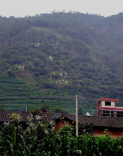 White tombstones are scattered on a mountain in Yiliang county of Southwest China&apos;s Yunnan province, July 22, 2010. [Xinhua]