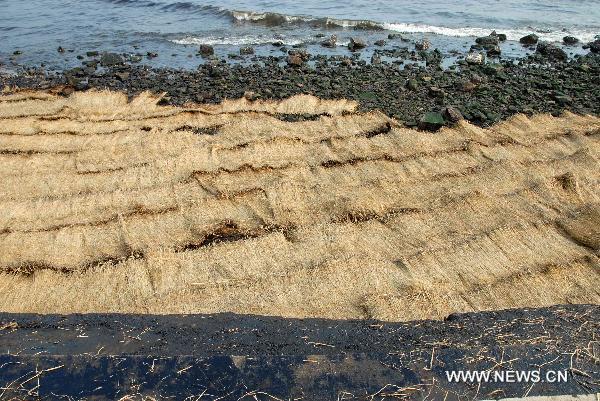 Photo taken on July 26, 2010 shows grass shade for the oil spill cleanup at the seashore near the development zone in Dalian, northeast China's Liaoning Province. The key work of the oil spill cleanup operation has turned to seashore since Monday. An explosion hit an oil pipeline on July 16 and triggered an adjacent smaller pipeline to explode near Dalian Xingang Port. [Xinhua] 