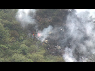 Smoke rises from the wreckage of a passenger plane which has crashed in the Margalla Hills as a helicopter flies over it on the outskirts of Islamabad July 28, 2010. [Xinhua] 