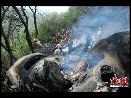 The photo shows debris from a commercial Pakistani passenger plane lying scattered amid shrubbery in hills near the capital, Islamabad, July 28, 2010. [Chinanews.com]