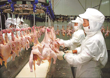 A chicken processing factory in Jiangsu province. [China Daily]