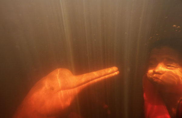 Leonardo Araujo, 12, swims with a &apos;Boto Cor-de-Rosa&apos; (Pink River Dolphin) during a Bototerapia (pink dolphin therapy) session in the Negro River in Novo Airao city, northern Brazil July 26, 2010. 