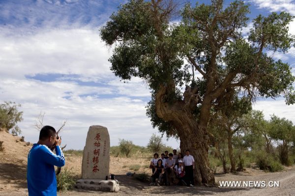 Tourists take photos with forests of populus diversifolia in Mori, northwest China's Xinjiang Uygur Autonomous Region, July 31, 2010. Xinjiang Uygur Autonomous Region, covering 1.6 million square kilometers, has the largest amount of natural populus diversifolia, which is resistant to saline-alkali soil and other hostile conditions in the northwest area, and is utilised to shelter villages and crops in desert or semi-desert areas. [Xinhua/Jiang Wenyao]