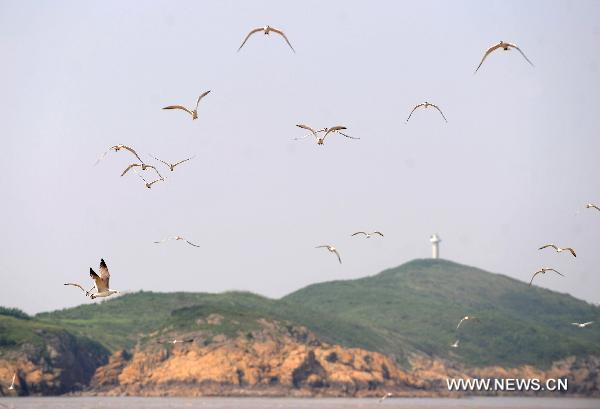 A flock of birds hover over the bird protective zone of Wuzhishan Islands in Zhoushan City, east China's Zhejiang Province, July 30, 2010. More than 10,000 birds of over 40 species inhabit the Wuzhishan Islands in the East China Sea, some of which are of rare species. [Xinhua/Xu Yu] 