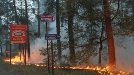 A total of 7,000 natural fires have engulfed over 500,000 hectares of land across Russia recently.