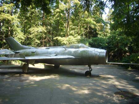 Grounded: The F-6 fighter plane on show in Dongping Forest. Photos: Tom Mangione 