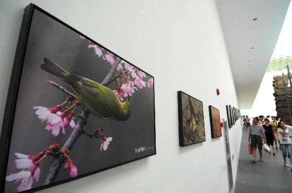 Photo taken on Aug. 5, 2010 shows pictures of wetland birds at China&apos;s Wetland Museum in Hangzhou, capital of east China&apos;s Zhejiang Province.