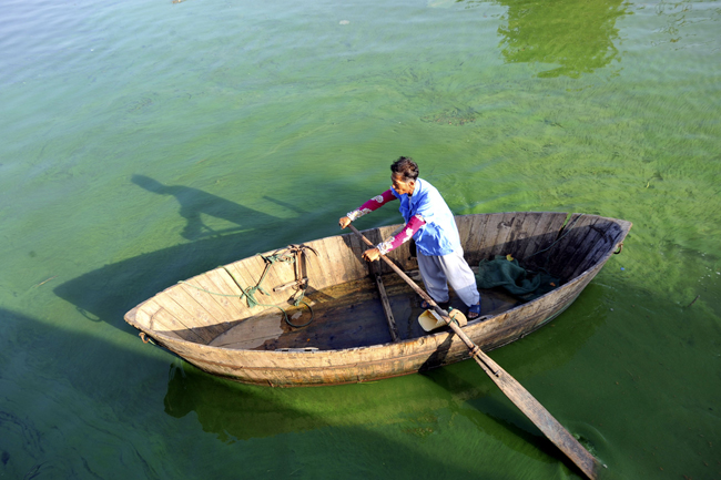 A man rowed a boat on Chaohu Lake in Anhui Province on August 8, 2010. Environmental authorities in east China&apos;s Anhui Province warned of the danger of a blue algae outbreak in Chaohu Lake, the country&apos;s fifth largest fresh water lake on August 6, 2010. About 20 square kilometers of blue algae has formed on the northwestern and southeastern parts of the lake. [Xinhua]