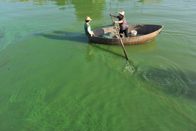 Two women rowed a boat on Chaohu Lake in Anhui Province on August 8, 2010. Environmental authorities in east China&apos;s Anhui Province warned of the danger of a blue algae outbreak in Chaohu Lake, the country&apos;s fifth largest fresh water lake on August 6, 2010. About 20 square kilometers of blue algae has formed on the northwestern and southeastern parts of the lake. [Xinhua]