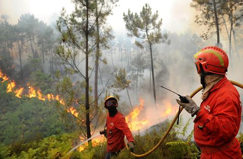 More than 700 firefighters and soldiers are trying to extinguish dozens of forest fires in Portugal after temperatures rose up to 40 degree Celsius in several areas of the country.[Xinhua] 