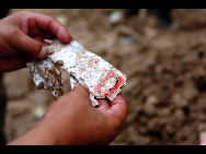 A tattered admission card for a student's entrance examination is found in the mud, Aug 10, 2010. [Xinhua]