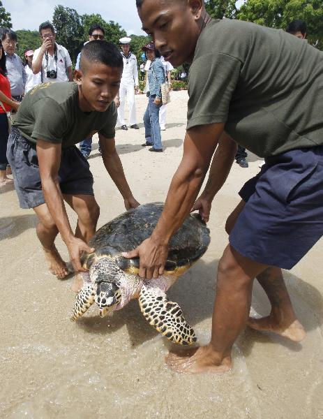 Thai navy sailors carry a 10-year-old Hawksbill turtle into the sea at the Sea Turtle Conservation Center of the Royal Thai Navy, in Sattahip, Chonburi province, east of Bangkok August 10, 2010. More than 700 endangered green and Hawksbill sea turtles were released ahead of the 78th birthday of Queen Sirikit.[Xinhua/Reuters]