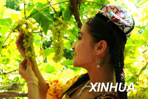 Join nationality festivals in Western China