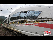 The destroyed and derailed Frankfurt-Paris InterCityExpress (ICE) highspeed train of German railway operator Deutsche Bahn AG is seen after a crash with a garbage truck in Lindenberg near Neustadt an der Weinstrasse, August 17, 2010. Nine passengers were left slightly hurt, one passenger remains seriously injured, and the truck driver escaped unharmed, police said.