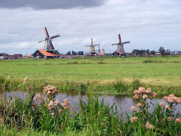 Netherlands [Chinanews.com] 