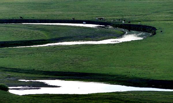 Photo taken on Aug. 15, 2010 shows the scenery of the Hulunbuir Plateau in Hulunbuir, north China's Inner Mongolia Autonomous Region. [Xinhua/Li Xin]