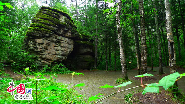 Photo shows the beautiful scenery of Tangwanghe National Park. Located in the dense forest of the northeastern province of Heilongjiang, it is China&apos;s first national park. [Photo by Zhang Aidong]