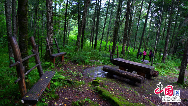 Photo shows the beautiful scenery of Tangwanghe National Park. Located in the dense forest of the northeastern province of Heilongjiang, it is China&apos;s first national park. [Photo by Zhang Aidong]