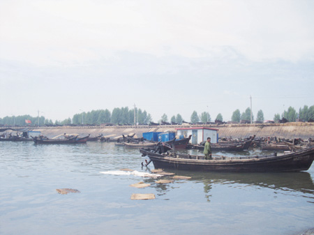 The Jinwan Bridge harbor.