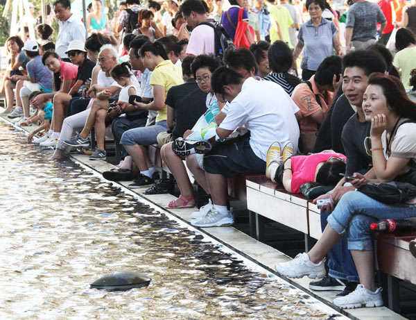 Seats double at Expo Park's rest areas